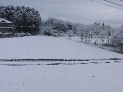 12.2.17雪.jpg